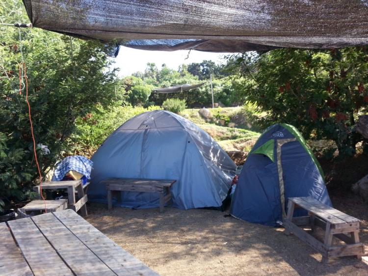 Fotografía 3 de Camping Playa Cau Cau en Puchuncavi, Valparaiso