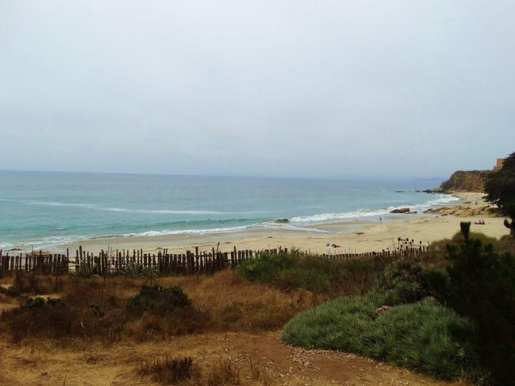 Fotografía 11 de Camping Playa Cau Cau en Puchuncavi, Valparaiso