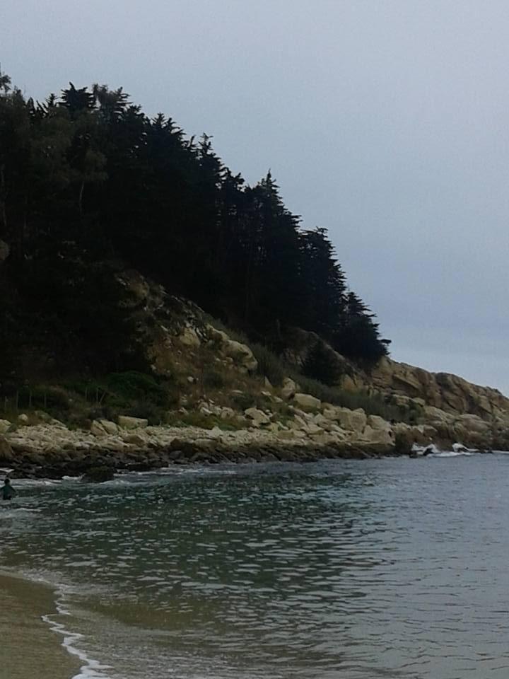 Fotografía 13 de Camping Playa Cau Cau en Puchuncavi, Valparaiso