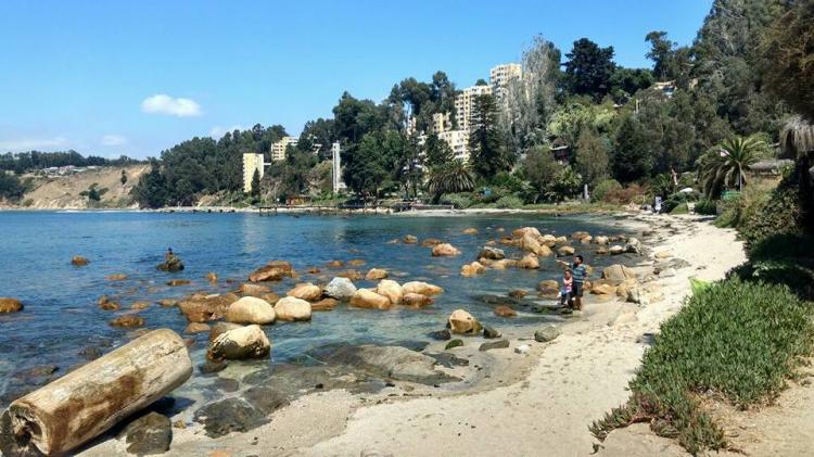 Fotografía 14 de Camping Playa Cau Cau en Puchuncavi, Valparaiso