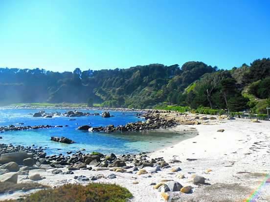 Fotografía 16 de Camping Playa Cau Cau en Puchuncavi, Valparaiso