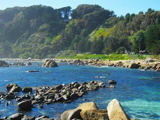 Fotografía 17 de Camping Playa Cau Cau en Puchuncavi, Valparaiso
