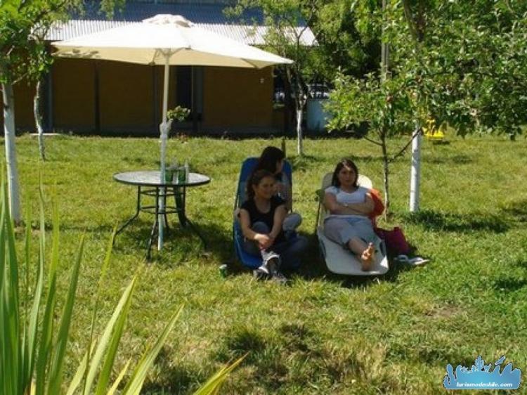 Fotografía 2 de Camping Las Araucarias en Los Angeles, Bio Bio