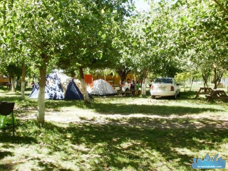 Fotografía 6 de Camping Las Araucarias en Los Angeles, Bio Bio