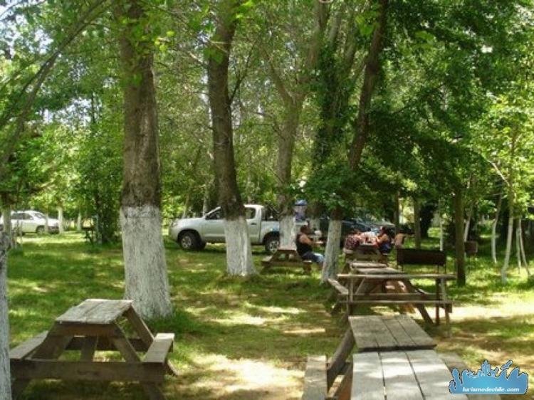 Fotografía 7 de Camping Las Araucarias en Los Angeles, Bio Bio