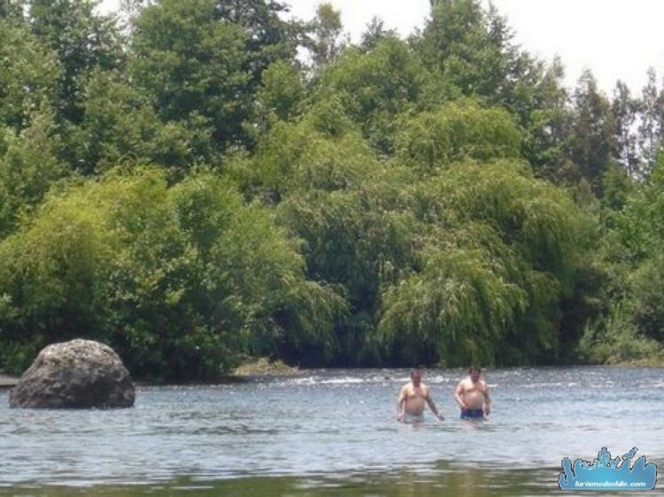 Fotografía 8 de Camping Las Araucarias en Los Angeles, Bio Bio