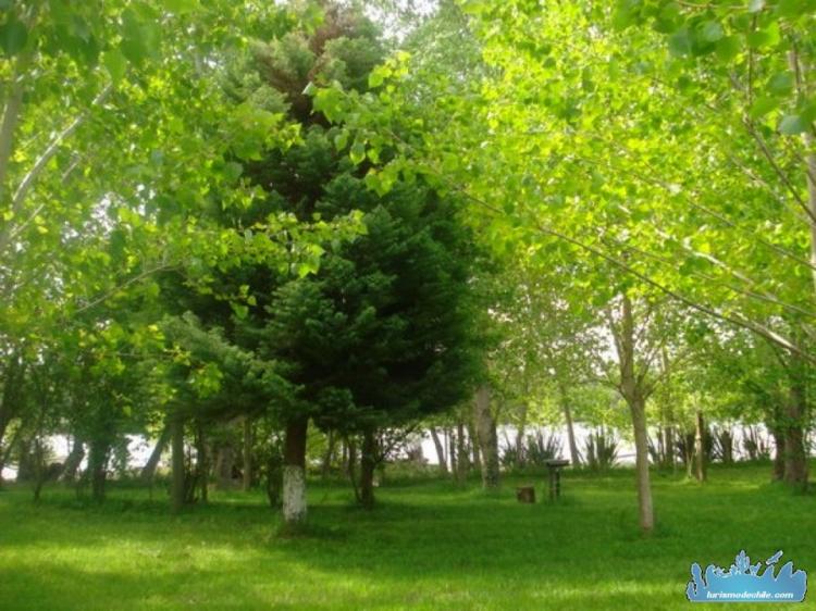 Fotografía 12 de Camping Las Araucarias en Los Angeles, Bio Bio
