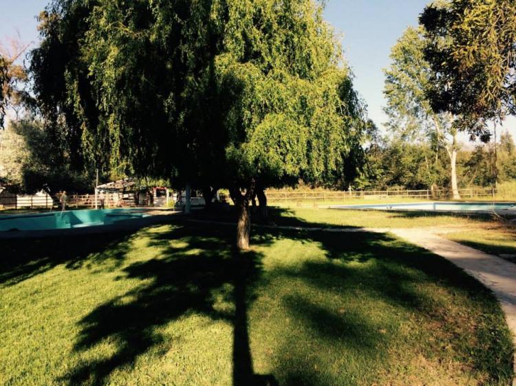 Fotografía 6 de Camping Termal La Poza Panimávida. en Colbun, Maule