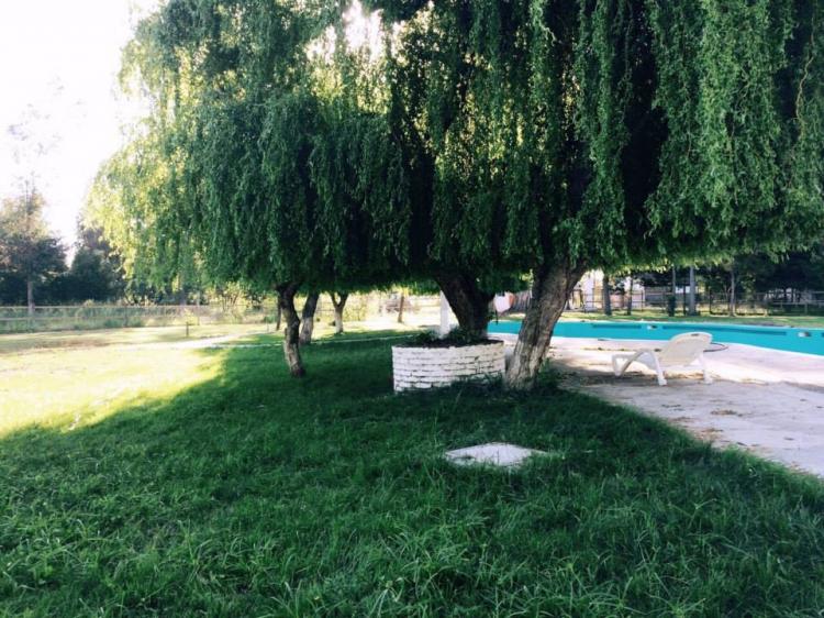 Fotografía 7 de Camping Termal La Poza Panimávida. en Colbun, Maule
