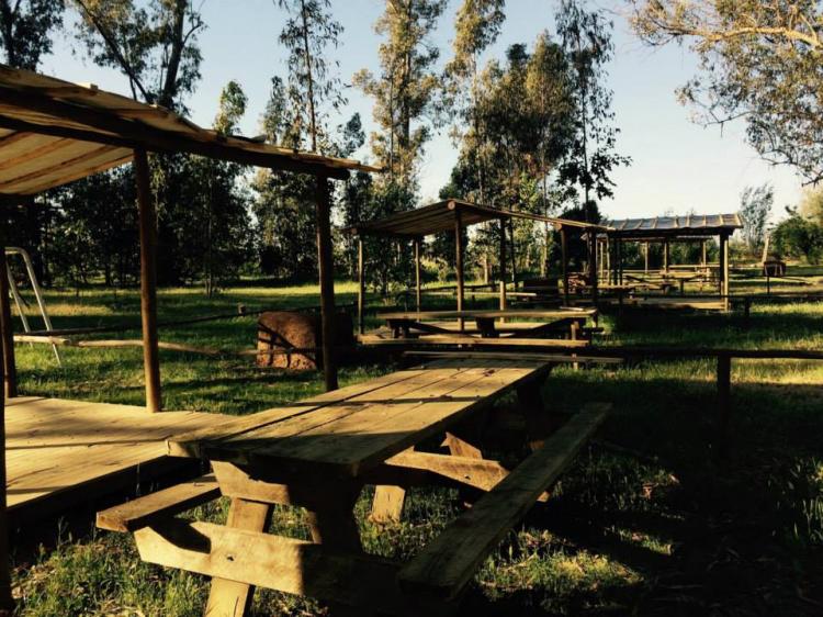 Fotografía 9 de Camping Termal La Poza Panimávida. en Colbun, Maule