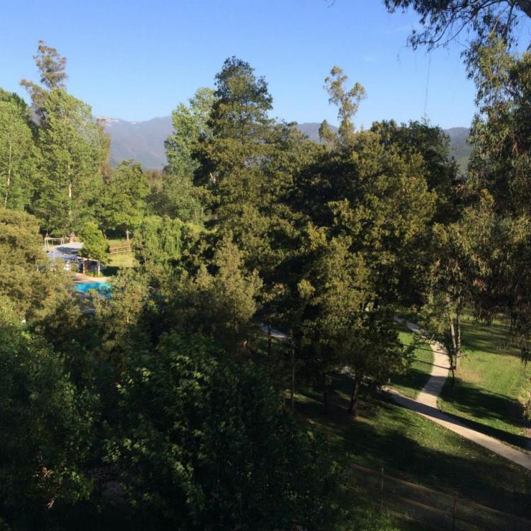Fotografía 10 de Camping Termal La Poza Panimávida. en Colbun, Maule