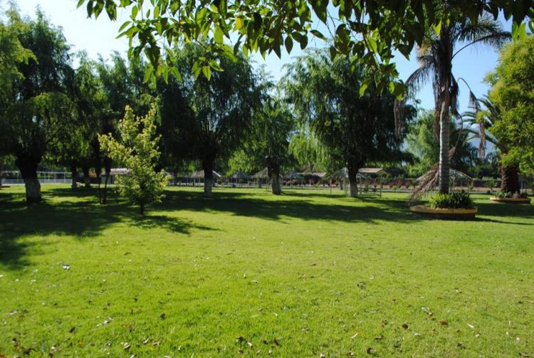 Fotografía 9 de Centro Turistico Valle De Romeral en Hijuelas, Valparaiso