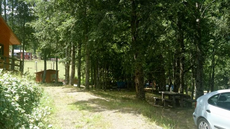 Fotografía 14 de Camping Maqueo en Futrono, Los Rios