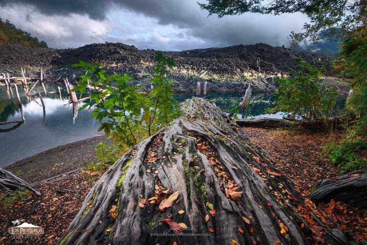 Fotografía 4 de Centro Turístico Los Pioneros en Melipeuco, Araucania