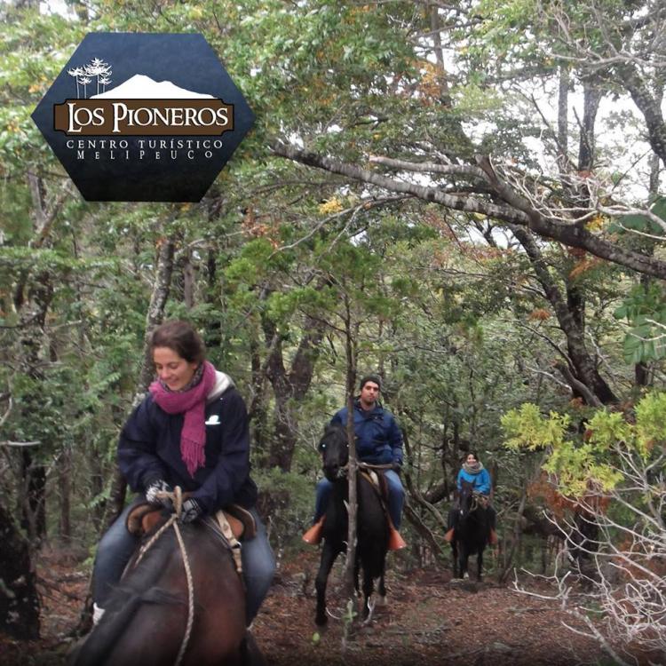 Fotografía 8 de Centro Turístico Los Pioneros en Melipeuco, Araucania