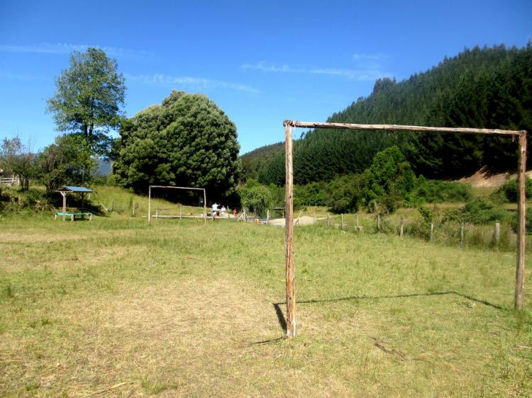Fotografía 4 de Camping Fundo Los Laureles en Aysen, Aysen
