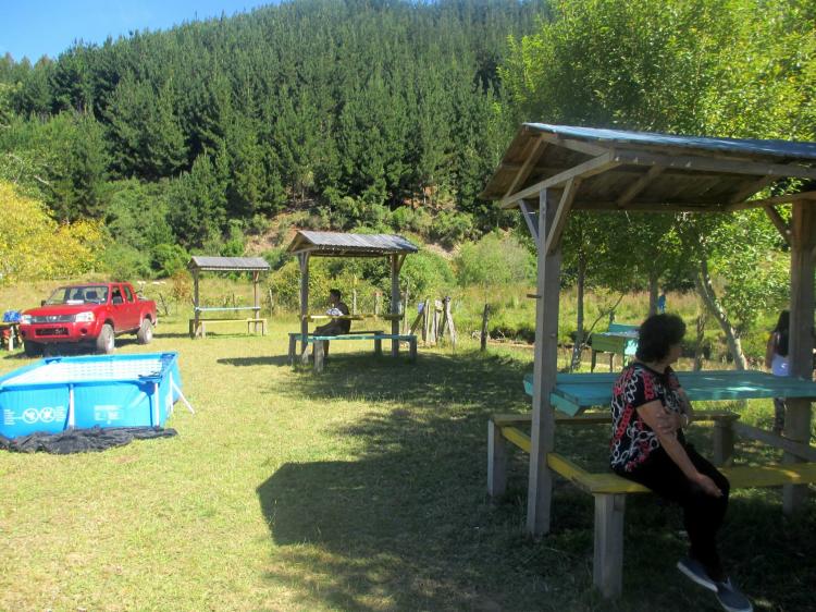 Fotografía 6 de Camping Fundo Los Laureles en Aysen, Aysen