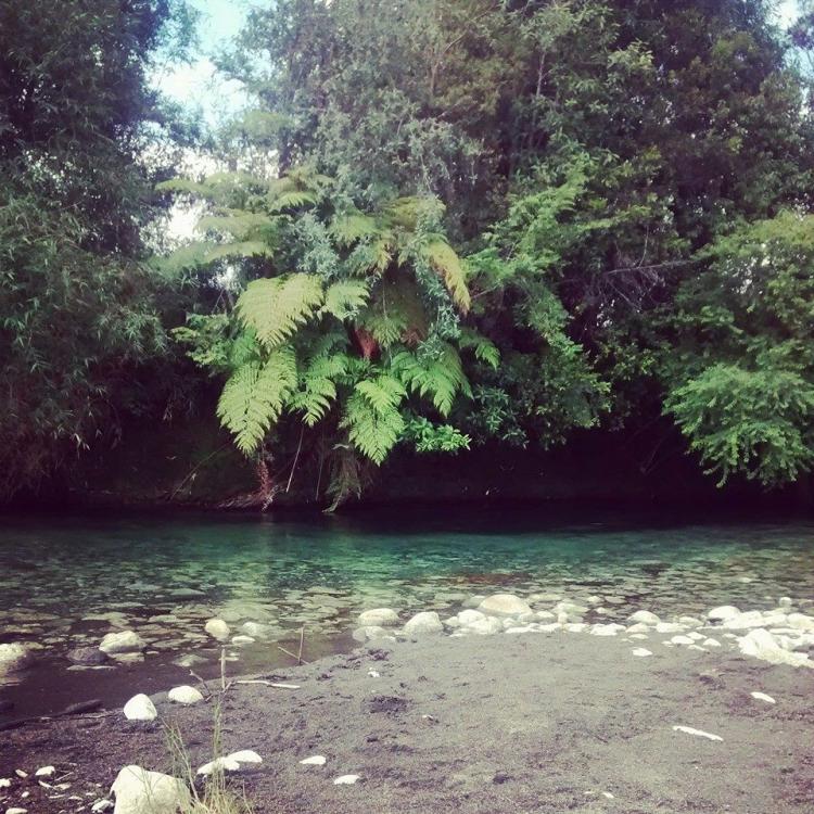 Fotografía 2 de Camping y Cabañas Bosque Patagónico en Rio Negro, Los Lagos