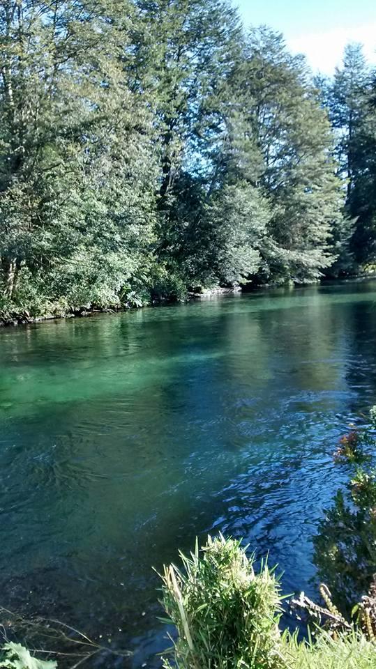 Fotografía 3 de Camping y Cabañas Bosque Patagónico en Rio Negro, Los Lagos