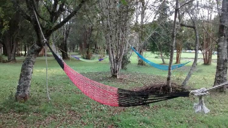 Fotografía 5 de Camping y Cabañas Bosque Patagónico en Rio Negro, Los Lagos