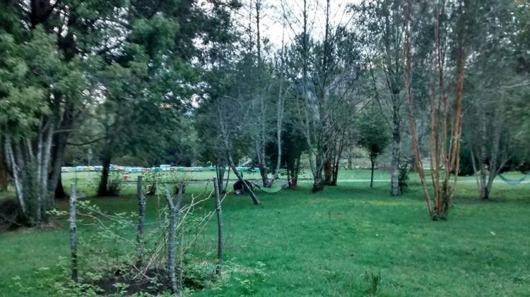Fotografía 6 de Camping y Cabañas Bosque Patagónico en Rio Negro, Los Lagos