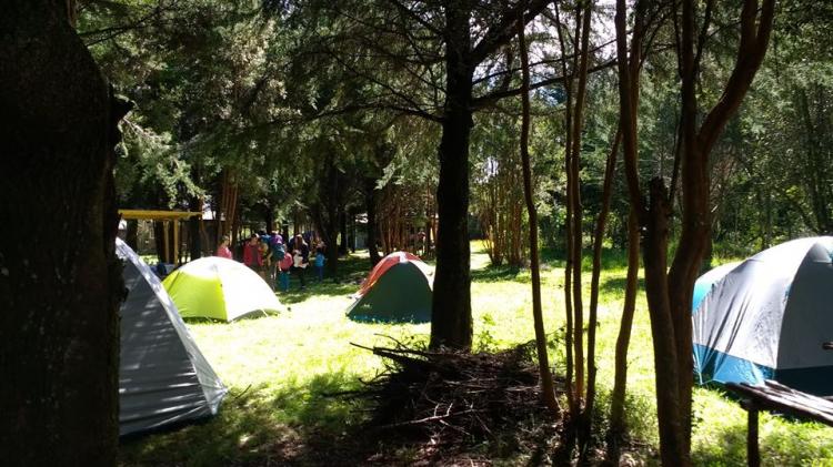 Fotografía 9 de Camping y Cabañas Bosque Patagónico en Rio Negro, Los Lagos