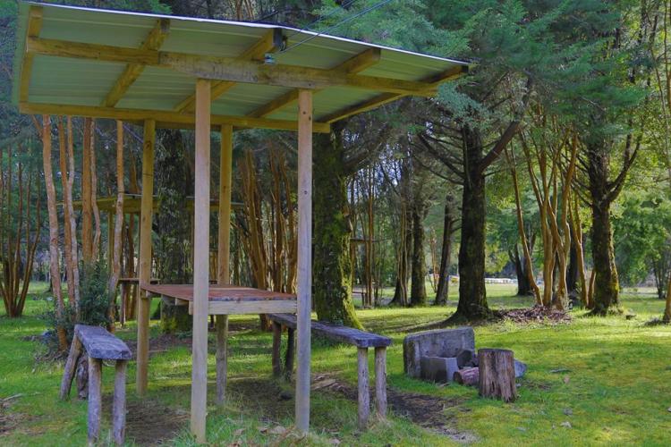 Fotografía 10 de Camping y Cabañas Bosque Patagónico en Rio Negro, Los Lagos