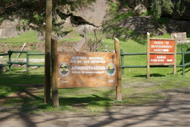 Fotografía 2 de Camping Los Peumos en Machali, Ohiggins