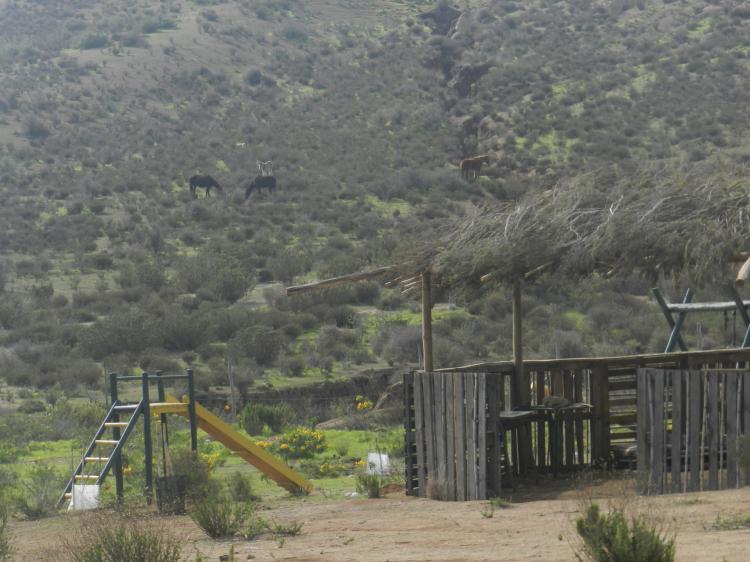 Fotografía 8 de Astrocamping Viento Sur en Ovalle, Coquimbo