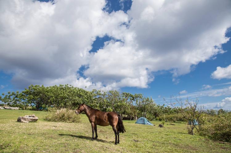 Fotografía 13 de Camping Sustentable Ana Tekena en Isla De Pascua, Valparaiso