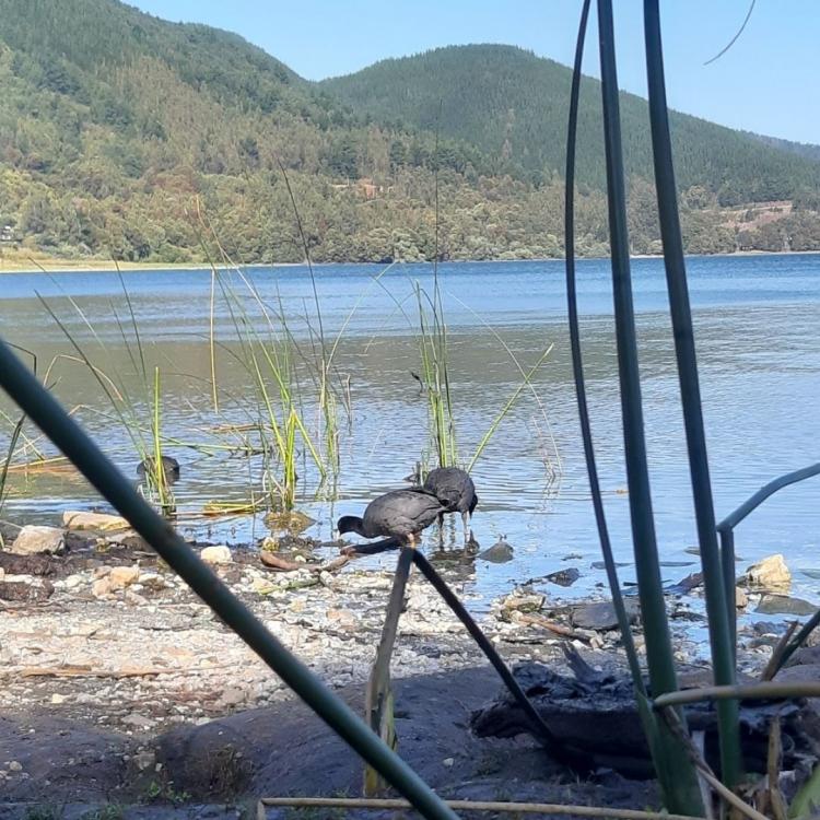 Fotografía 20 de Camping Lawen Mapu, Reserva El Natre, Lanalhue. en Contulmo, Bio Bio