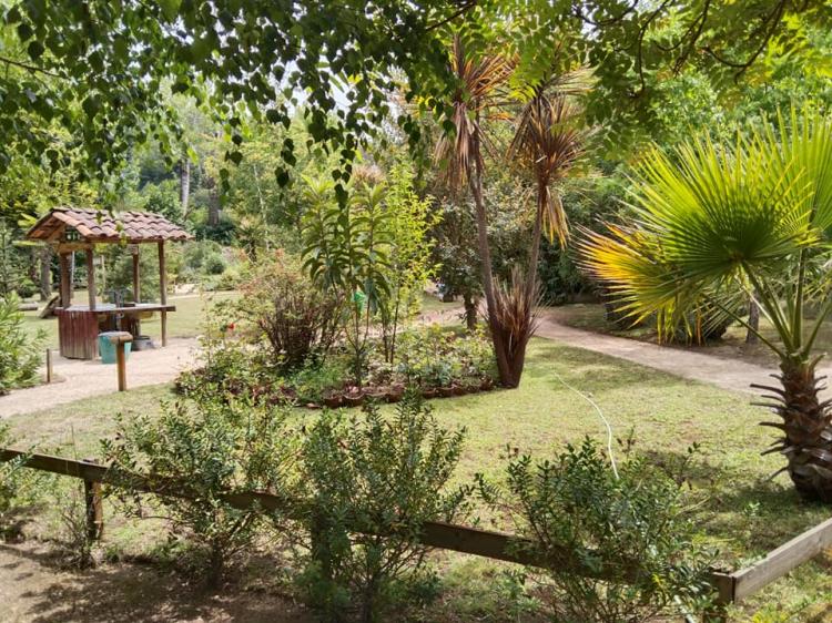 Fotografía 14 de Camping Los Cruceros en Hualqui, Bio Bio