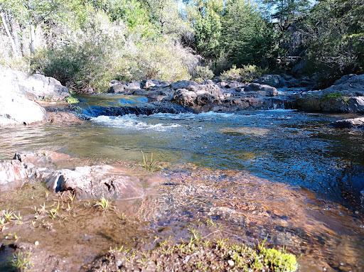 Fotografía 8 de Cabañas Y Camping Santa Camila en Rio Claro, Maule