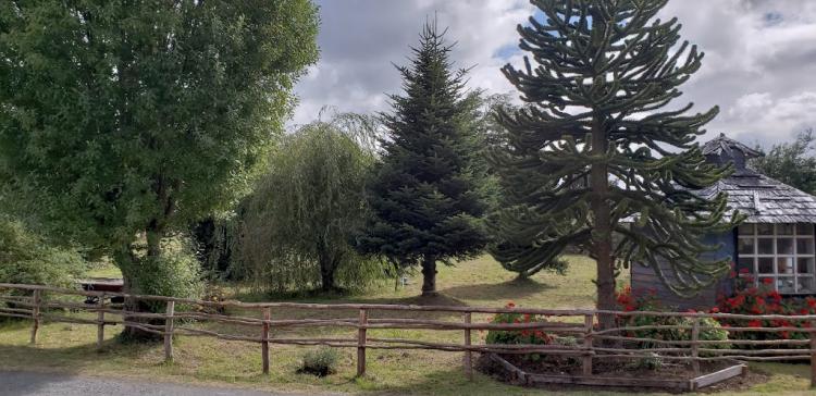 Fotografía 13 de Cabañas Y Camping Millaguen en Quellon, Los Lagos