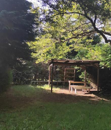 Fotografía 16 de Camping El Retiro Valdivia en Valdivia, Los Rios