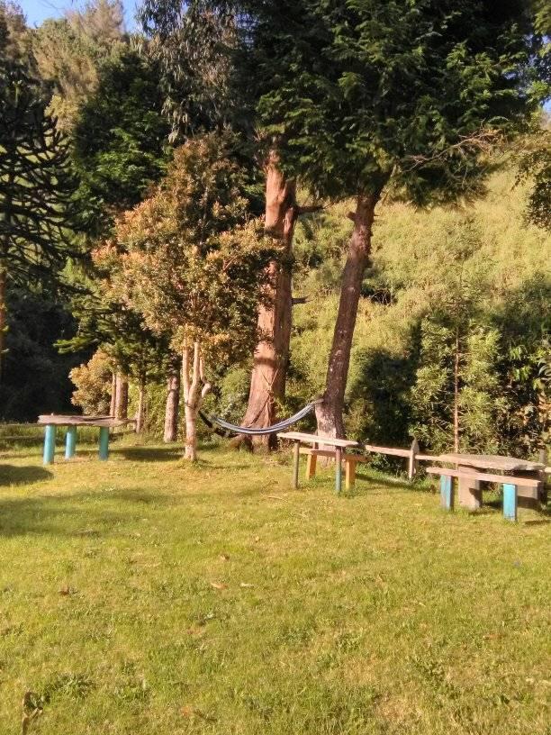 Fotografía 2 de Cabañas Y Camping Mi Paraiso Natural en Mariquina, Los Rios