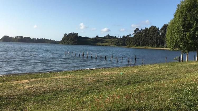 Fotografía 12 de Camping Piedra Blanca en Saavedra, Araucania