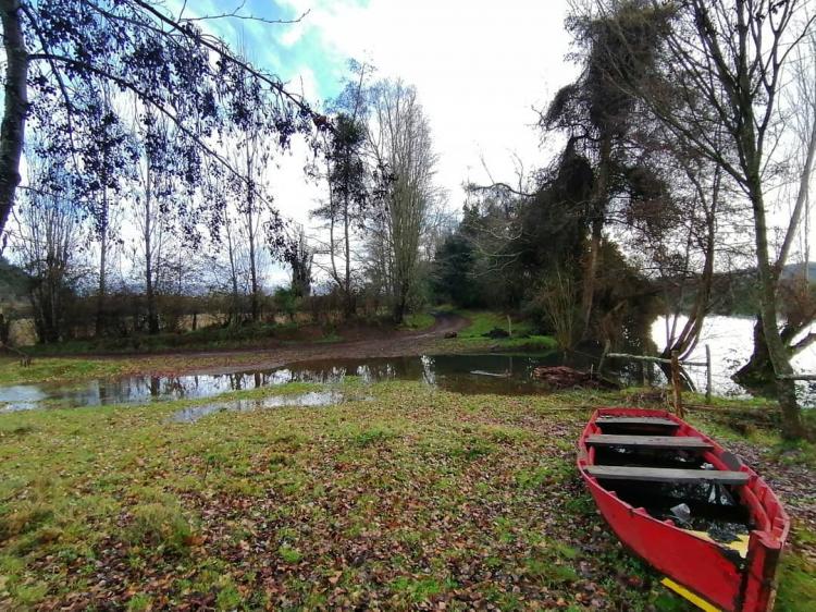 Fotografía 2 de Natural Camping Osorno Chile en San Pablo, Los Lagos