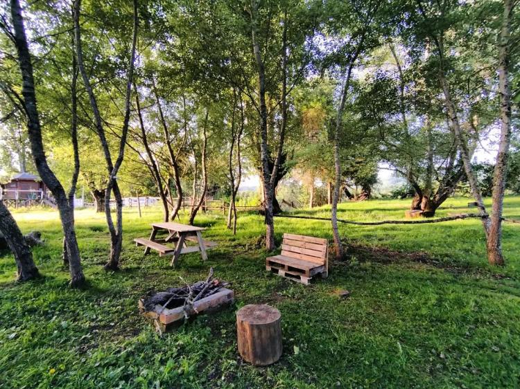 Fotografía 4 de Natural Camping Osorno Chile en San Pablo, Los Lagos