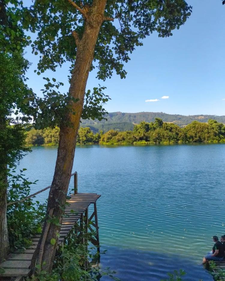 Fotografía 16 de Natural Camping Osorno Chile en San Pablo, Los Lagos