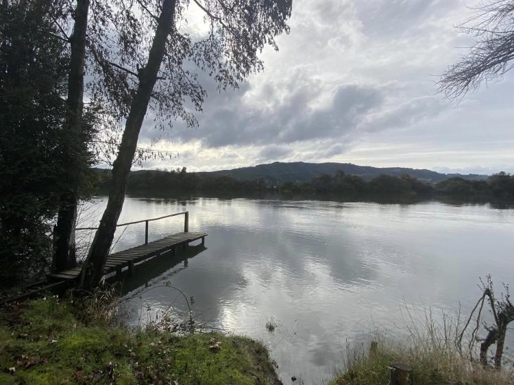 Fotografía 18 de Natural Camping Osorno Chile en San Pablo, Los Lagos