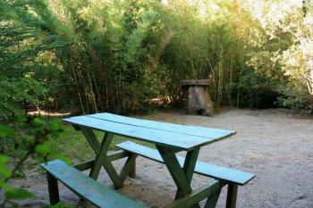 Camping Olga en Pucon, Araucania