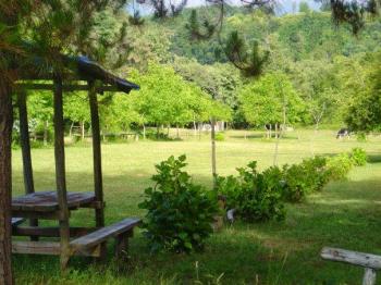 Camping Complejo Turistico Salto El Leon en San Clemente, Maule