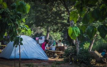 Camping Residencial Paseo Los Aromos en San Clemente, Maule