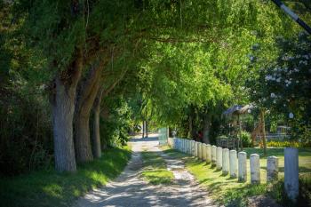 Camping Valle del Sol en Monte Patria, Coquimbo