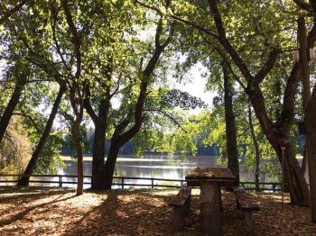 Camping Rio Laja en Los Angeles, Bio Bio
