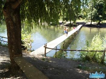Camping San José en Cabrero, Bio Bio
