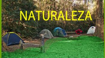 Camping Catrue Anticura Parque Nacional Puyehue en Puyehue, Los Lagos