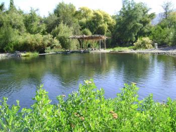 Camping Descanso De Los Arrayanes en Rio Hurtado, Coquimbo
