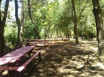 Camping Las Terrazas de San Pedro en Pinto, Bio Bio